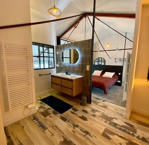 Apartment Loft Neuf Plein Coeur De *